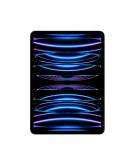 Apple iPad Pro 11 2022 16GB 1TB