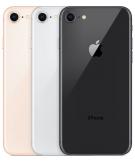 iPhone 8 64GB