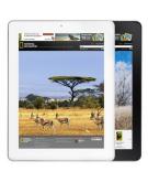 V801s Tablet PC Quad Core A31S 8 Inch 16GB